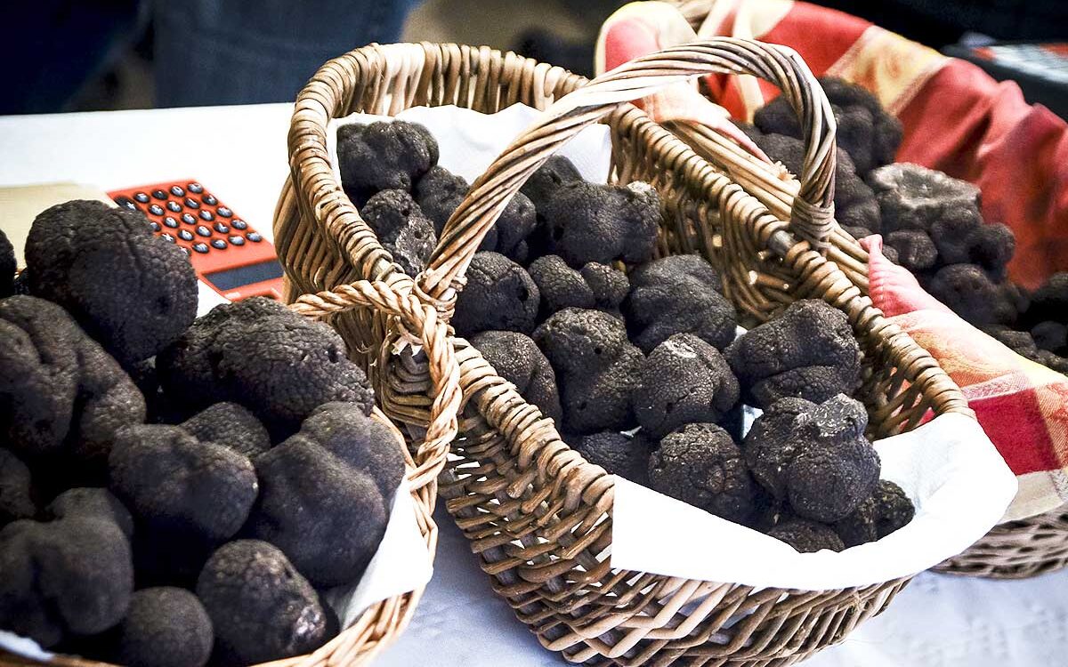 Le cours actualisé de la truffe noire d'hiver fraîche