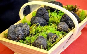 Truffe d'hiver fraîche du Périgord – Difalux Namur