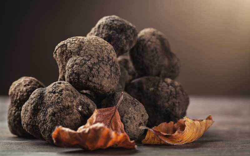 Truffe Noire Du Périgord Fraiche Tuber Melanosporum Morceau - 250g